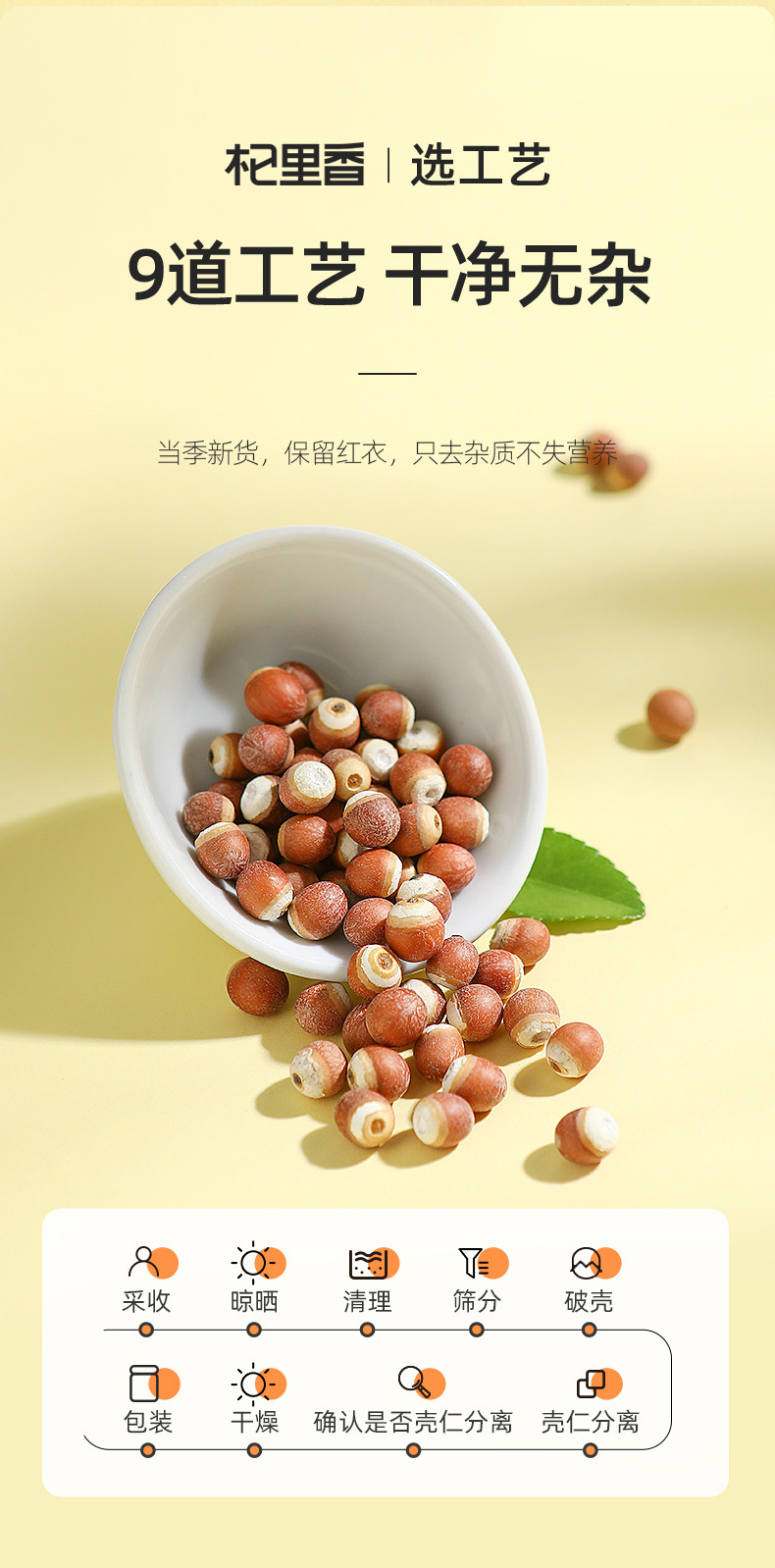 Dried Euryale Ferox Seeds Qian Shi 250g Jar Chinese Gorgon Nut for Soup and Congee key features