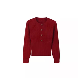 女式针织衫;毛衣;女式马甲