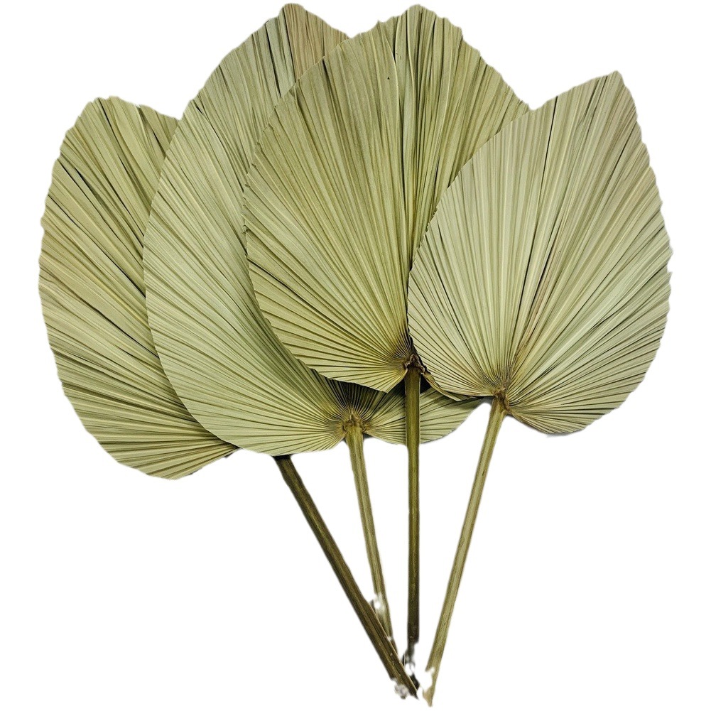 Los fabricantes de hojas de la flor seca de la hoja de la palma de la planta de hoja de la flor seca de la hoja de La Palma