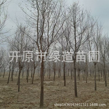 1-15ְС|ܘr񹤳е ҎRȫ