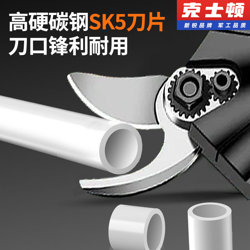 微信图片_20250211110216