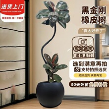 �ڽ�����Ƥ�������������k���҃ȿ͏d����^�~�Gֲ�����՚��ļ�