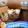 惠而信手提加厚立体冰桶