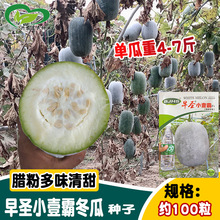 ���}���}СҼ��ˮ�����ϷN�� ���Դ����D�۶� �Y�϶�ë����С����