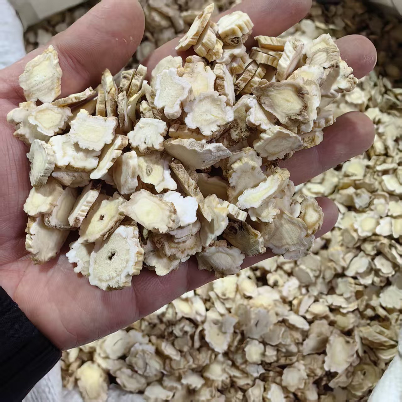 Platycodon Root Jie Geng 桔梗 Sliced Dried Herb for Decoction and Tea 500g key features