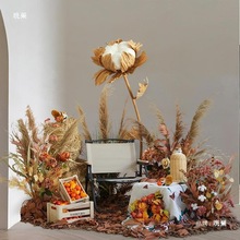 bꙻ쾰b＾JȔݸɻŮ}ֱg[