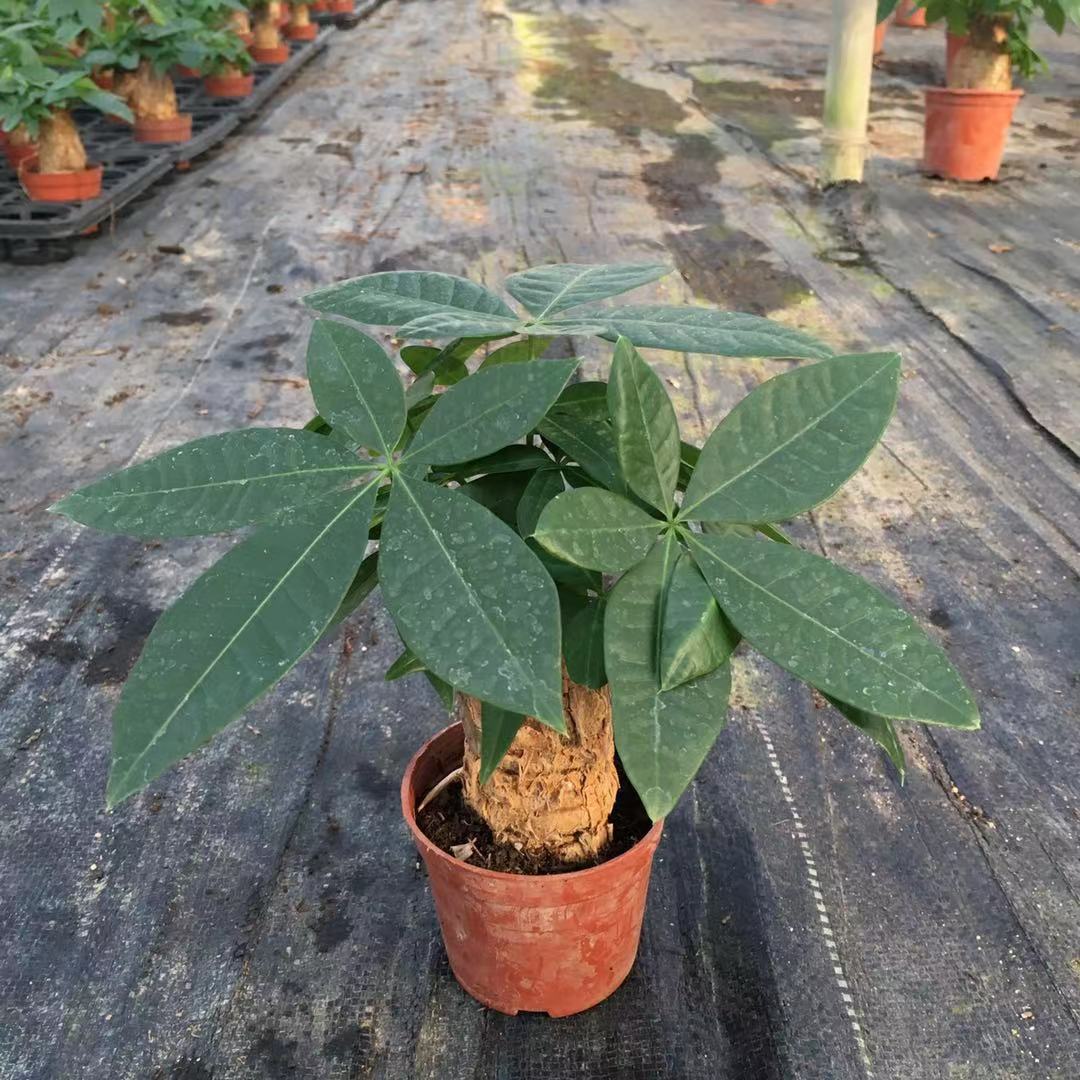 微信图片_20190312234339