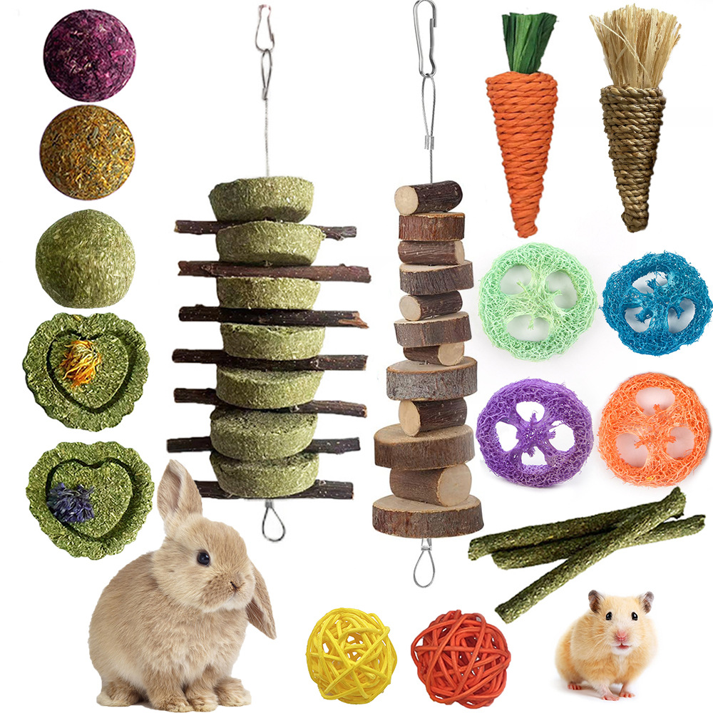 Transfronterizo mascota molar traje conejo hámster Totoro mordedura aliviar juguete relleno combinación pequeña mascota juego suministros venta al por mayor
