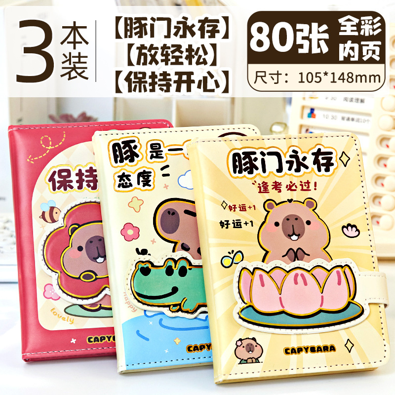 3팩 - 연꽃불교 + 악어마운트 + 행복한 꽃 선판매