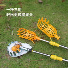 伸缩李子枇杷枣子柿子无花果桃水果采摘工具摘杨梅高空摘果器