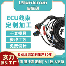 ECU线束定制新能源汽车混合插头注塑端子厂家生产加工适配连接器