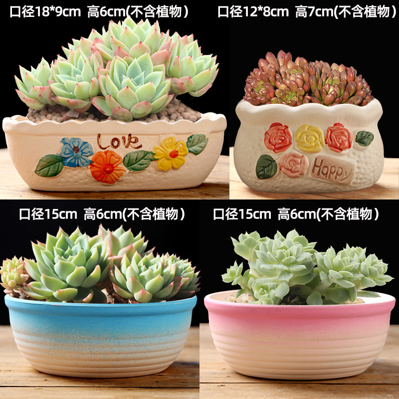 多肉植物の植木鉢卸売セラミック植物粗い陶器レトロ無地焼成紫砂クリエイティブ大小直径シンプルなクロスボーダー|undefined