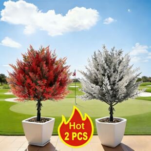 �羳���R�dѩ�������̰صز��}�Q�Gֲ���~�Ҿӑ������ɴ�tֲ��