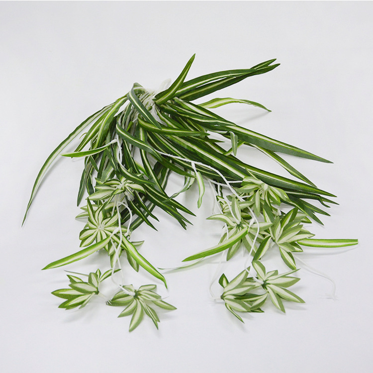 Orquídea colgante grande