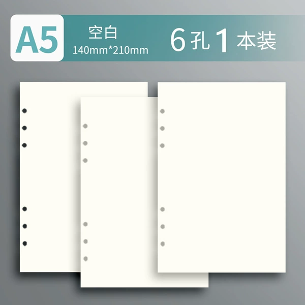 A5丨6 holes丨1 blank丨60 sheets