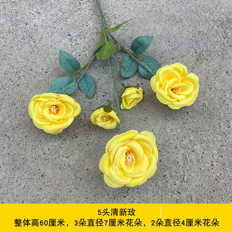 신선한 동백나무 5개 - 노란색