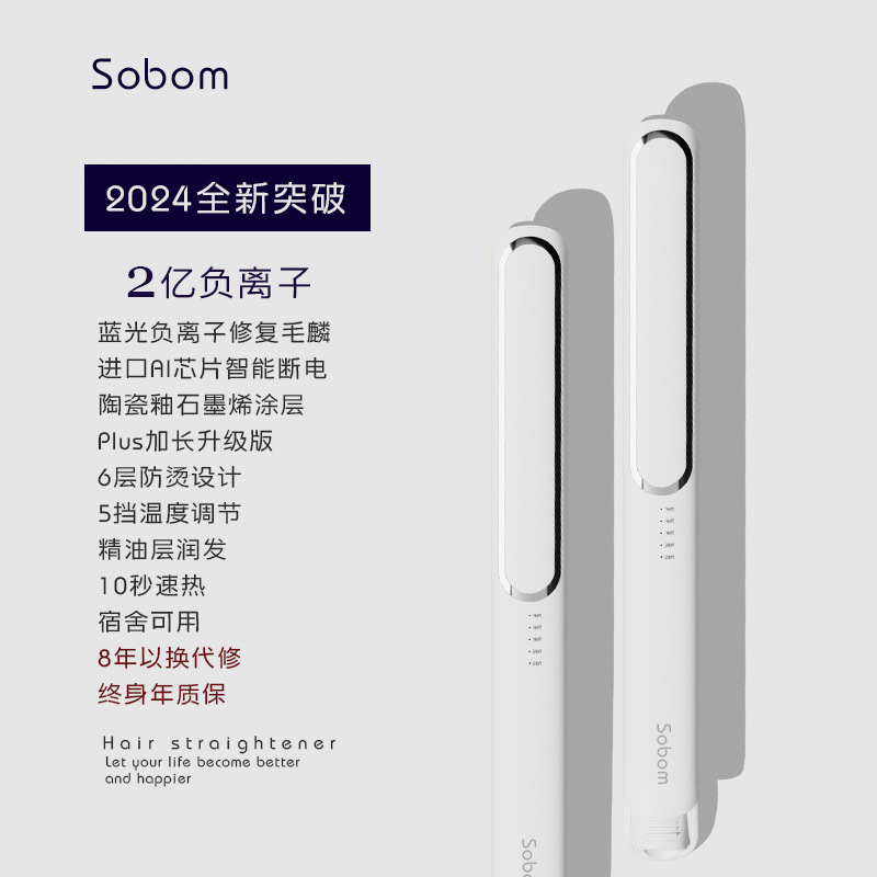 X-300 스트레이트 헤어 스플린트(흰색) 국가 표준 220V
