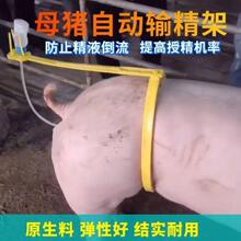 ĸ�i��N���i��ݔ�����߱��A�O�乫�i���i�iݔ��ƿ֧��ݔ���A