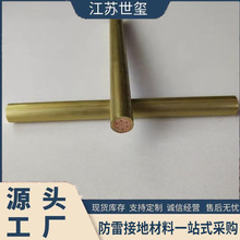 铁路贯通地线 S-DH平方 70平方 高铁金属铜合金护套贯通地线