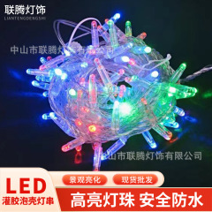 LED満天星クリスマスライトストリング屋外防水装飾ライト店舗デパート結婚祝いライトストリング祭りカラーライトストリング