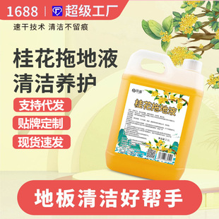 Processing and Customizing Jin Osmanthus Mopping Liquid Floor Cleaning and Washing Floor Tiles Long-Lasting Household Cleaning Agent