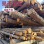 工程打桩护坡林场杉木桩