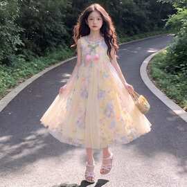 连衣裙夏季女童潮流四季流行图片色其他品牌有吊牌其它甜美绣花