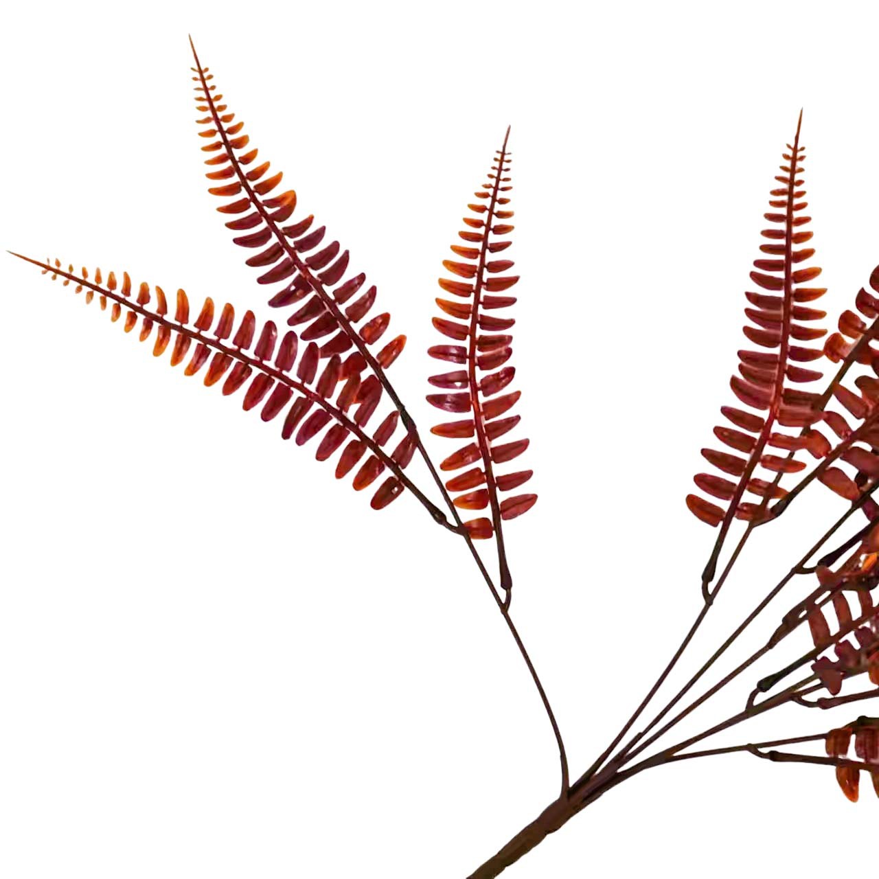 微信图片_20230610103556