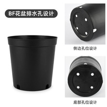 ظӁlɫֱ߅bflؔX仨ϻطNֲ