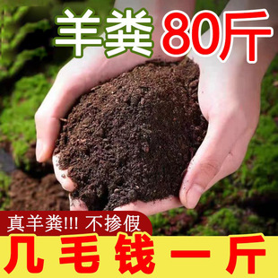 Sheep Manure Fermented Organic Fertilizer Powder Orchard Greenhouse Fertilizer Sheep Manure High Temperature Fermented Organic Bacteria Fertilizer