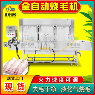 Դ�^���S�i�_��ë�C �������^����ȥë�O�� ȼ��������Ƥ��ë�C