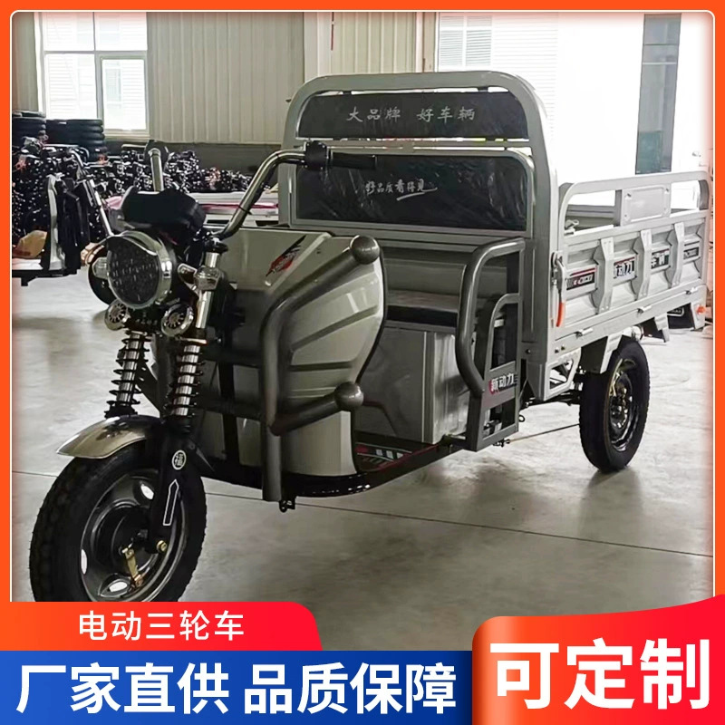 Fabricante de suministro de triciclo eléctrico con cubierta de marca triciclo eléctrico