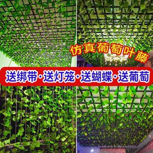 �����~�ٗl��픾G���~���b��p�@�ړ����ϼٻ�����ˮ�p�@�ܵ�