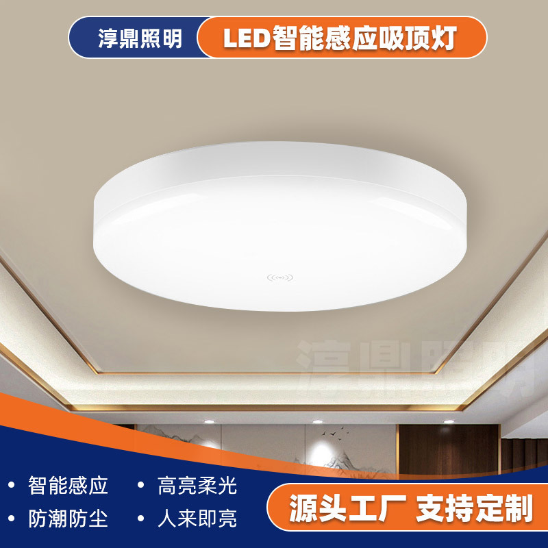 Induction Led Radar Sensor Ceiling Light Corridor Staircase Smart Ceiling Light Human Body Voice Control Sensor Ceiling Light