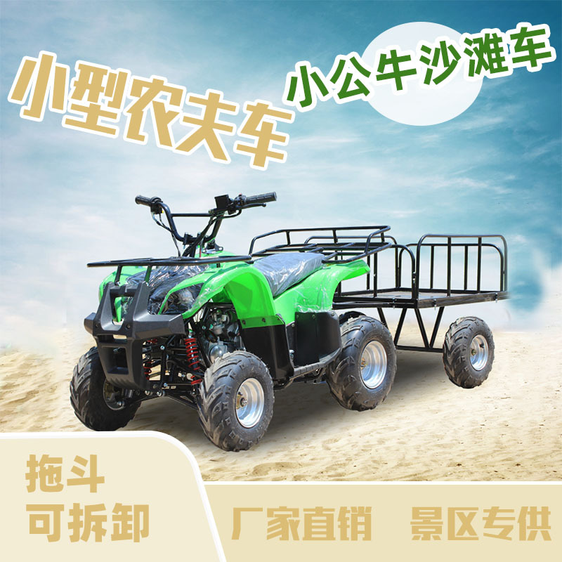 Cuatrimoto Todoterreno Agrícola 125cc de Hierro y Plástico con Transmisión por Eje image 3