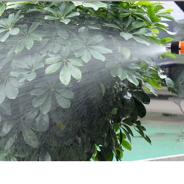 Water gun for auto, sprayer from foam, 12v