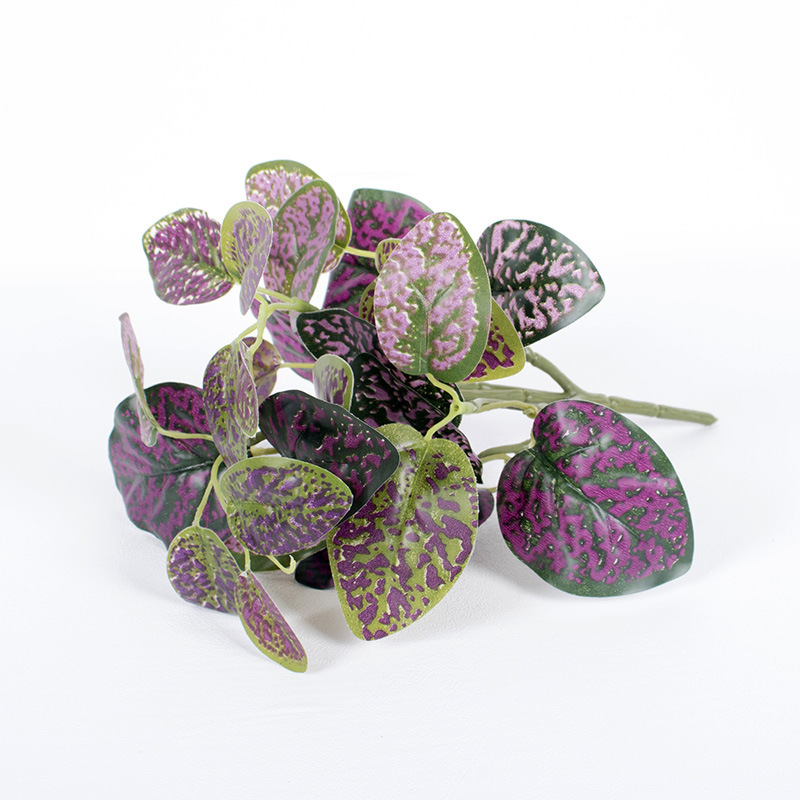 5-Tenedor de hierba mancha roja