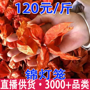 �t���� ��Ƥ�� ����� �\���\ ��؛���l