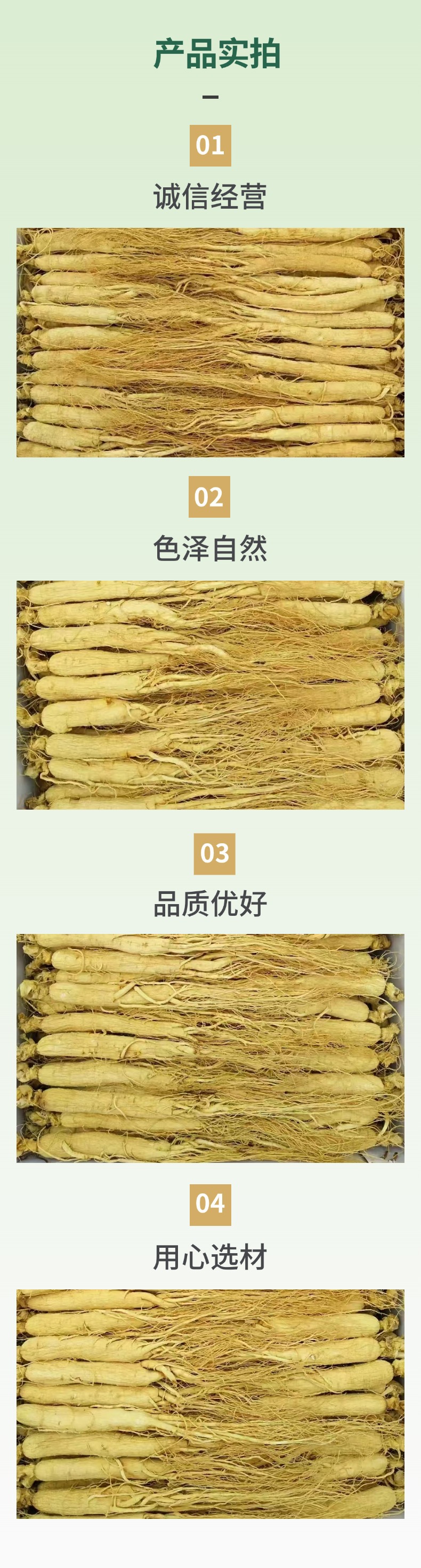 Dried Northeast White Ginseng Whole Roots Large Grade for Soup and Wine Making specifications