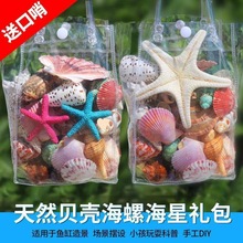 贝壳海螺海星鱼缸造景装饰品科教用品儿童玩具生日礼物批发跨