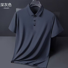 2026�ļ���ʿ����polo�����e���s�L����������淭�IT����