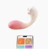 Little Civet App Gradient Pink 6970556030261