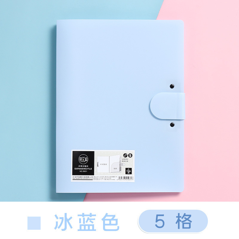 Multi-Pocket Plastic A4 Organizer File