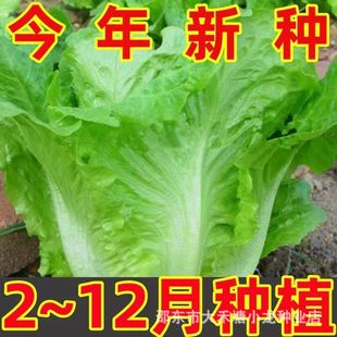 ��������˷N���ͳ�̦�N���̨�����ļ����߲˿������ЙC���˷N��