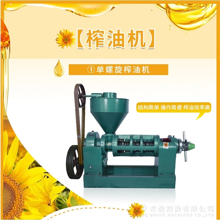 中小型大豆榨油机生产厂家 全自动食用油压榨设备 压榨花生油机器