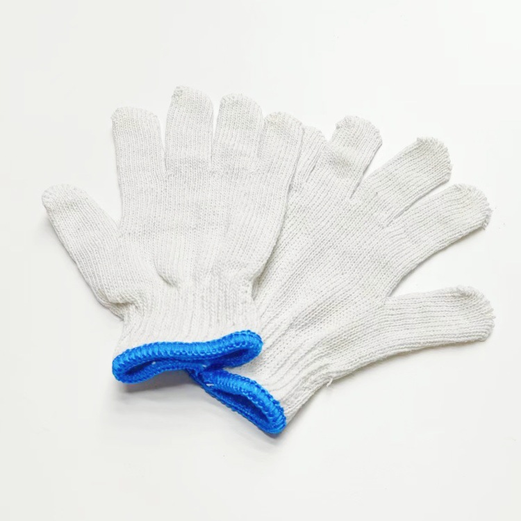 IMG_0514(20231110-000716)