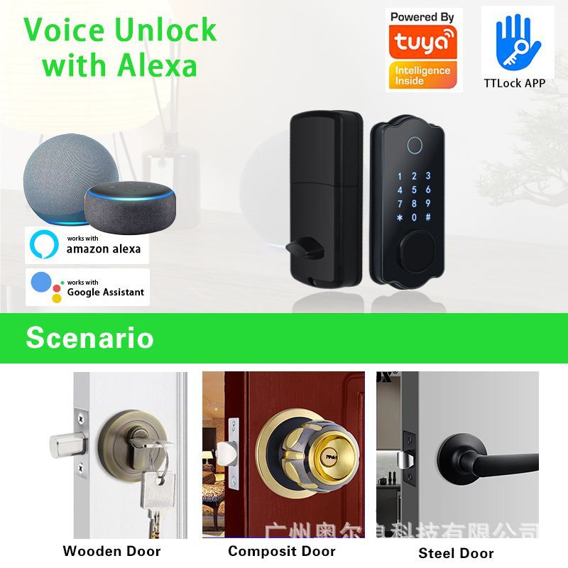 Directo de fábrica apartamento contraseña cerradura habitación puerta de madera dormitorio Puerta de huella digital cerradura transfronteriza exclusiva para tuya Tongtong Smart Lock