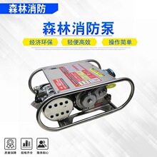 TW21-B-4DSԶ�������ˮ�ø����ɭ��������ˮ�䷢��������