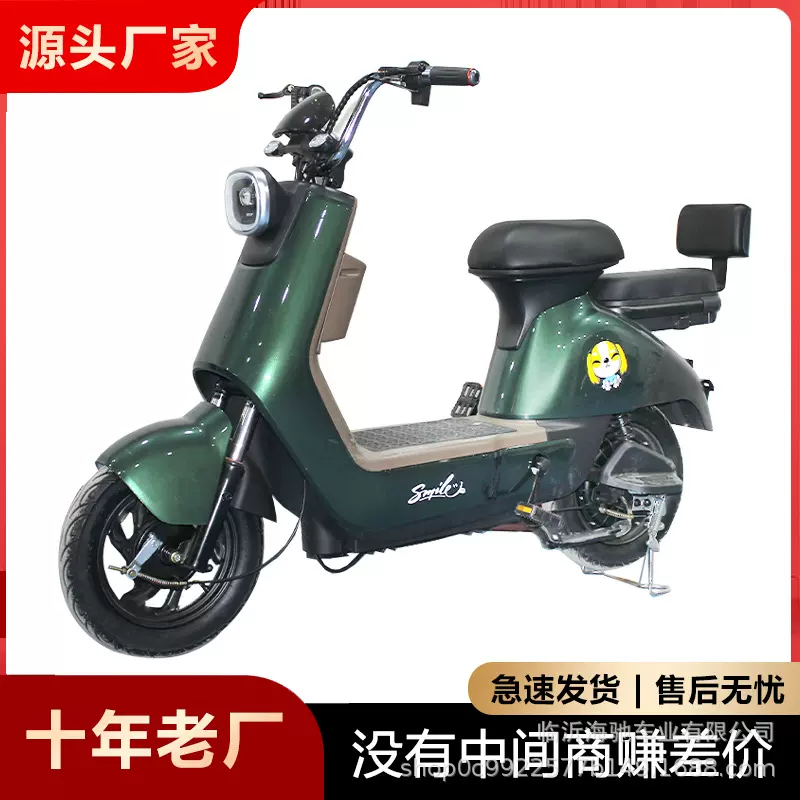 外贸电动车自行车厂家批发直销两轮代步车超轻骑行双人电瓶电助力