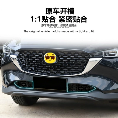 Water Tank Protective Cover, Insect-Proof – Automobile anti-insect net